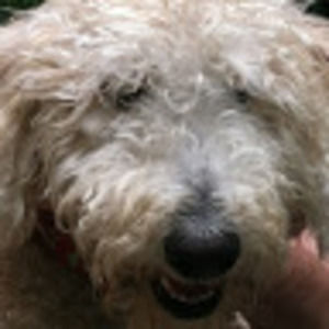 Meet your Posher, Kristina